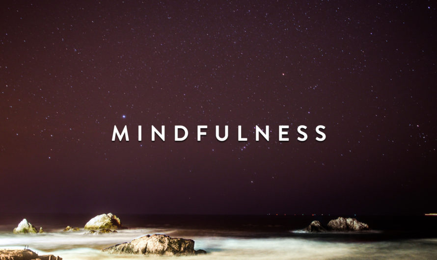 El poder del Mindfulness